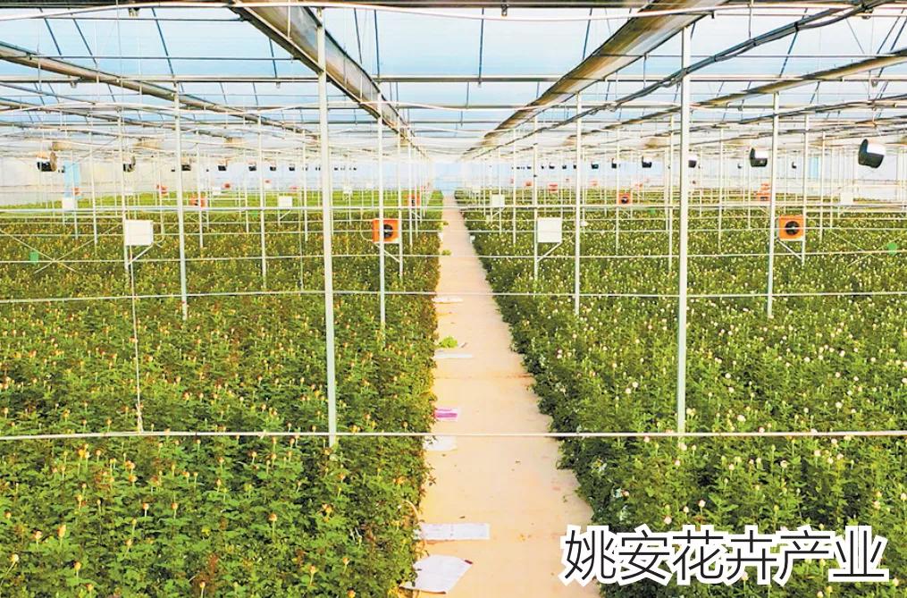 2018云南各地州招商引资,云南16州市如何招商引资