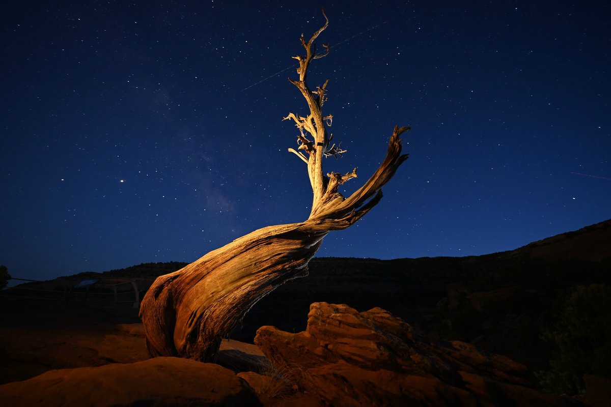 尼康l10拍照教程,尼康相机推荐10000左右