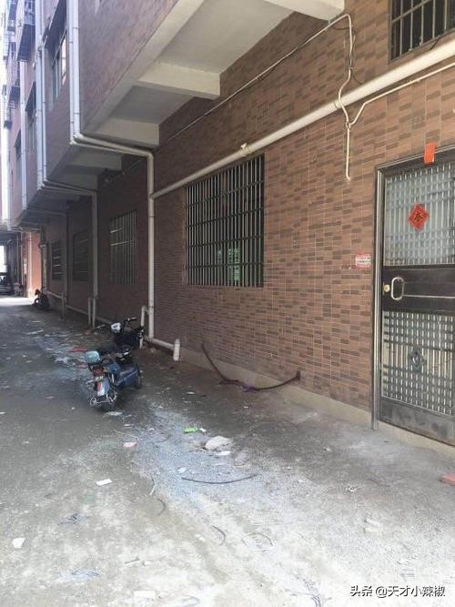 韵达快递分拣工作累不,韵达快递分拣一天的工作流程