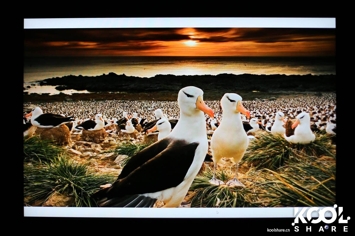 benq明基c520,benq明基智能投影仪e320t