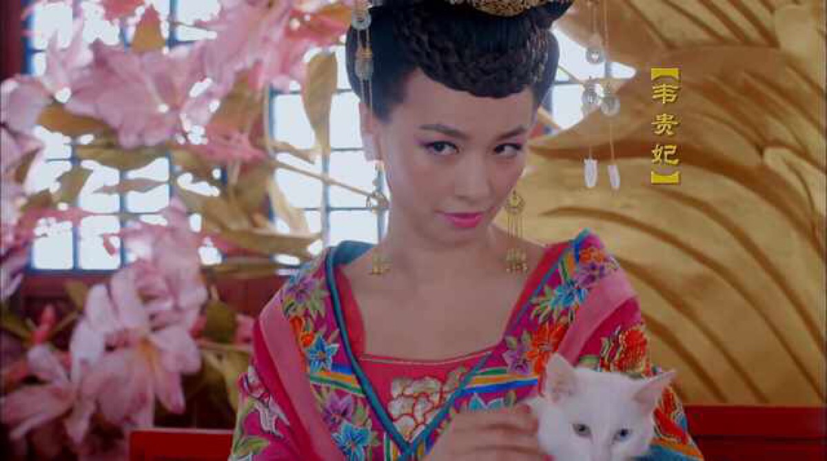 张庭旗下微商现状,张庭经营微商赚了多少钱