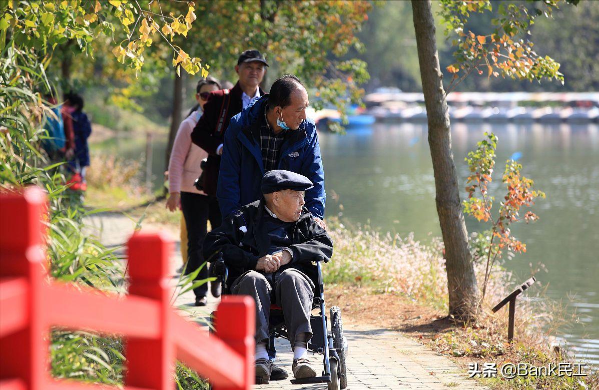 社保断缴会有什么后果全说清楚了,社保断缴后果多严重不知道吃大亏