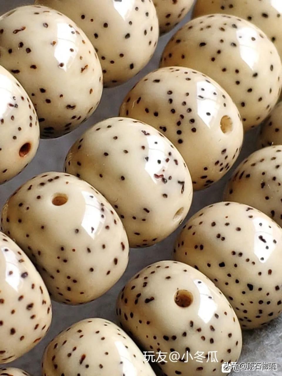 星月菩提一般几个籽,星月菩提只要是真的就可以玩