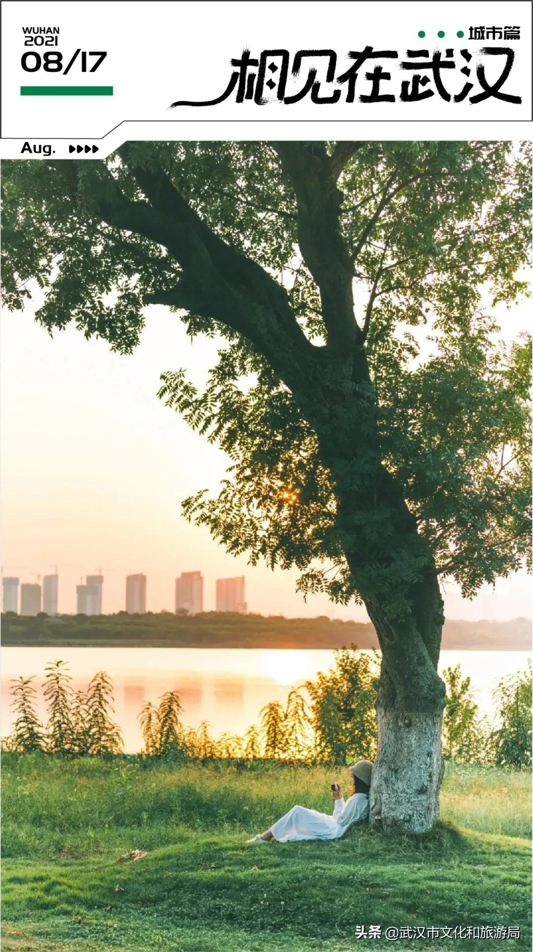 江夏面积多大,关于最美江夏的图片