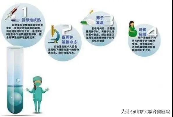 从梦想到希望——卵子冷冻让您的人生不再遗憾