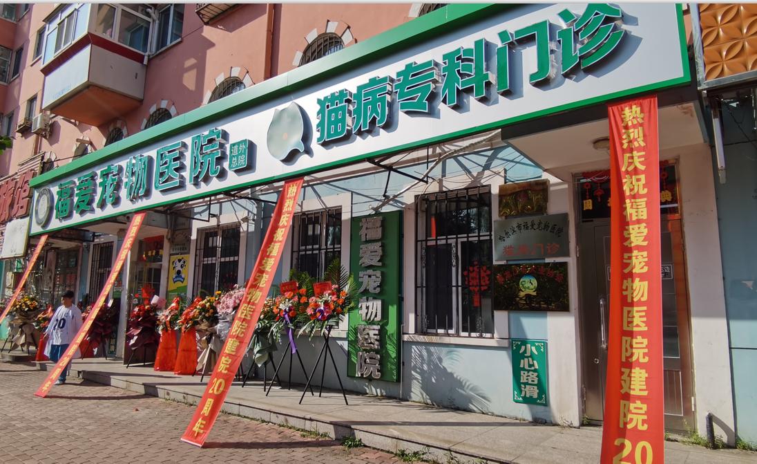 “生命面前万物平等”——记极地馆首席动物医疗顾问王福军教授