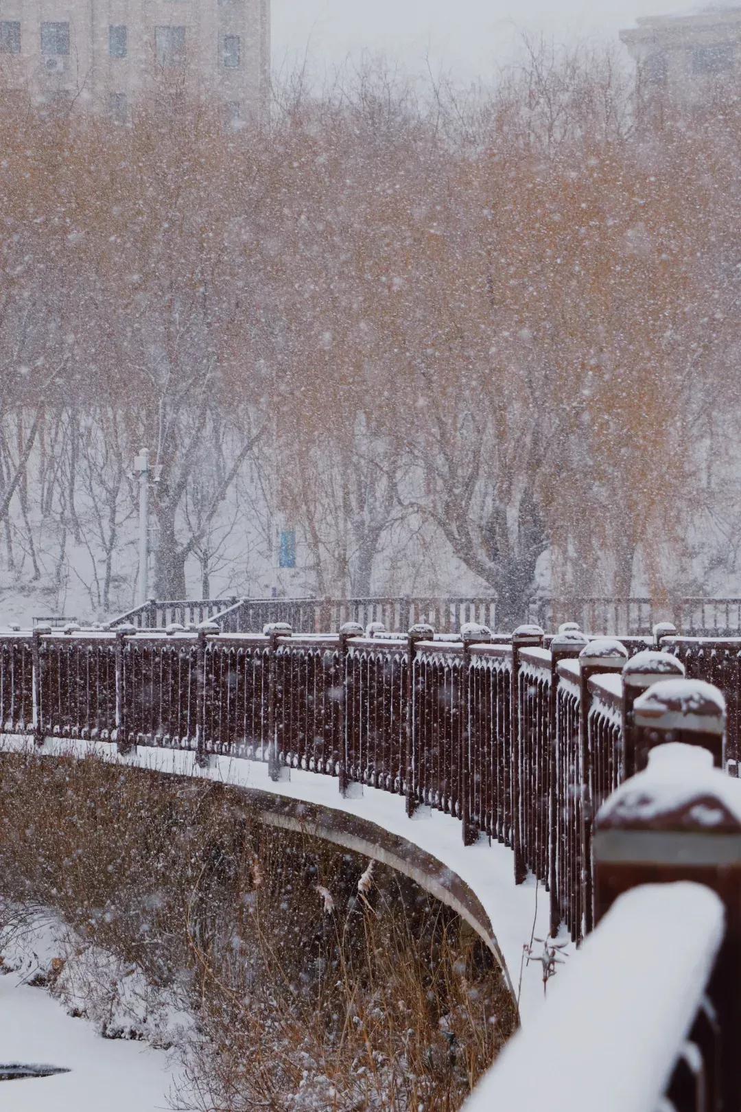 辽宁省高校(三十二)大连外国语大学