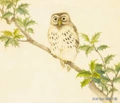 诗经中关于鸟的句子,诗经中寓意美好的鸟