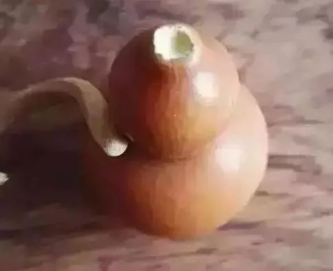 文玩葫芦龙头生虫怎么办,文玩葫芦如何避免损坏龙头