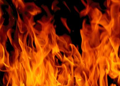 杨文说八字合婚,杨文八字知识大全