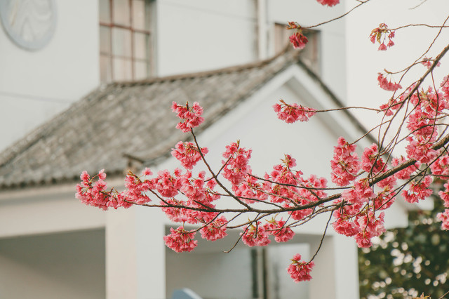 她做保姆的这些年豪门生活之八,她做保姆的这些年豪门生活之十四