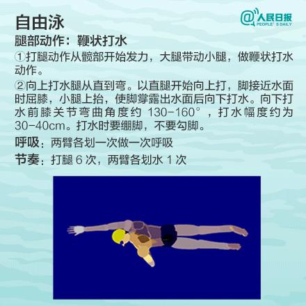 游泳初学者必看各种泳姿,游泳最简单最容易学的是哪个泳姿