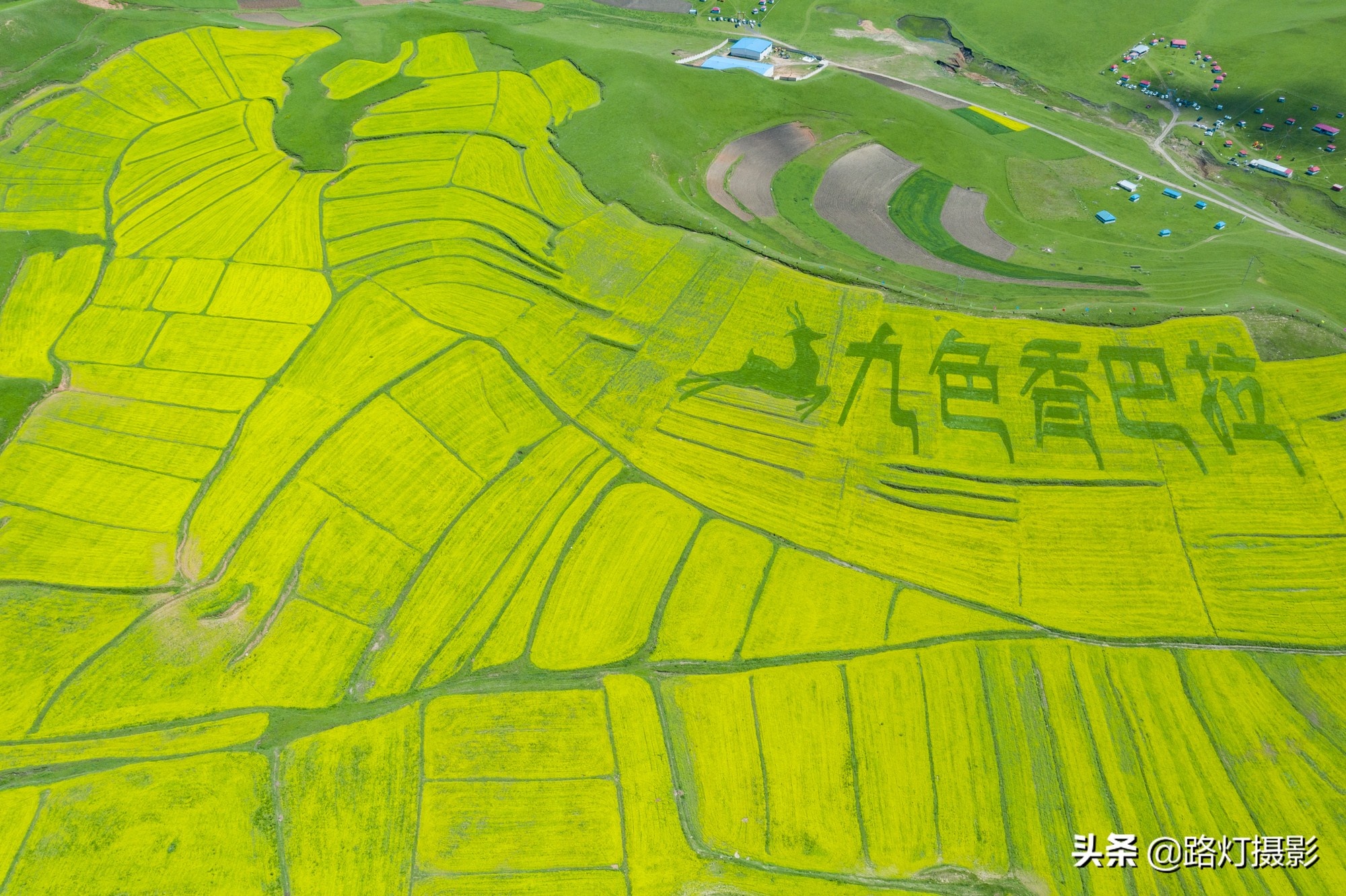 惊艳！八月最佳旅行地，“绝色甘南”美成仙境，所有景区免门票