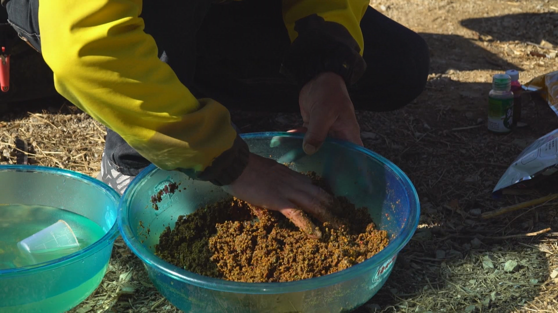 200元左右偷驴竿子,200元偷驴