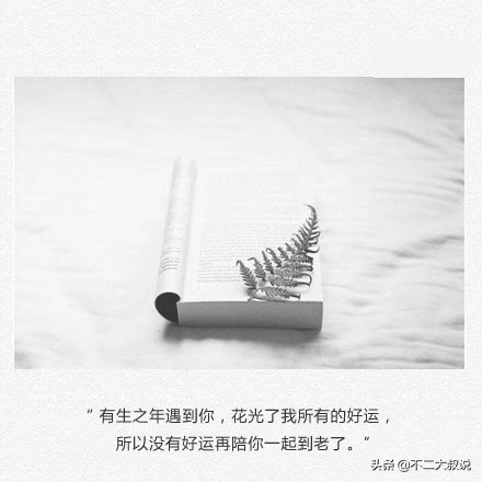 念旧的人喜欢等一句别来无恙,喜欢用余生来等一句别来无恙