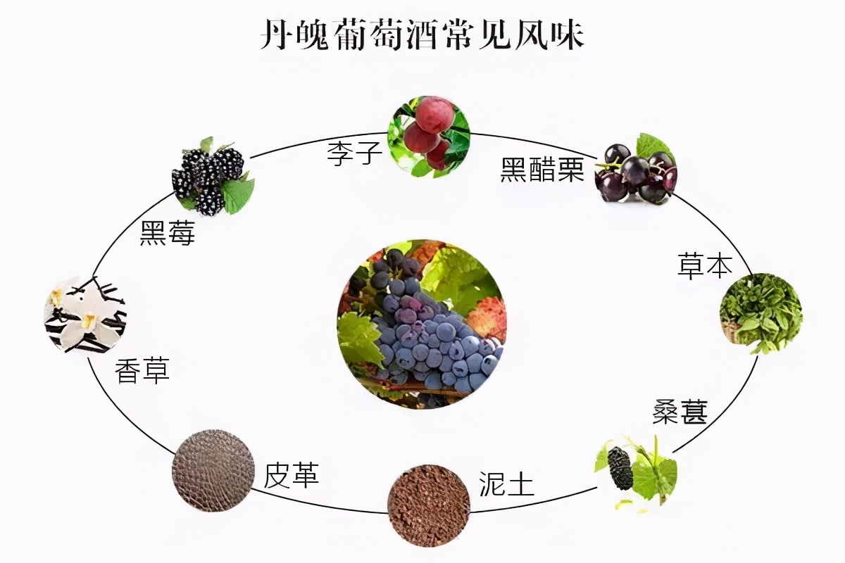 送礼葡萄酒选择,除夕买什么葡萄酒最好呢