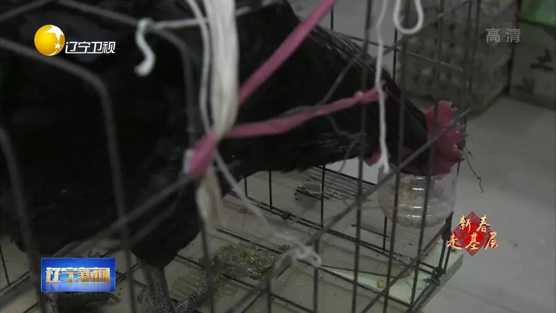 新春走基层逛大集买年货,新春走基层年货暖人