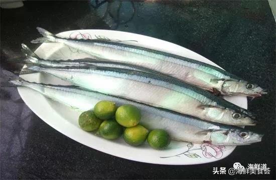 102种海鲜,营养丰富的海鲜有哪些品种