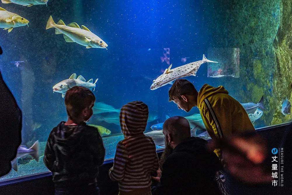 维京遇到全域旅游，美丽乡村、特色小镇一网打尽：挪威渔业史漫步