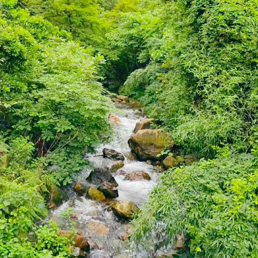 李白写景十大巅峰佳作,李白最经典的山水诗句