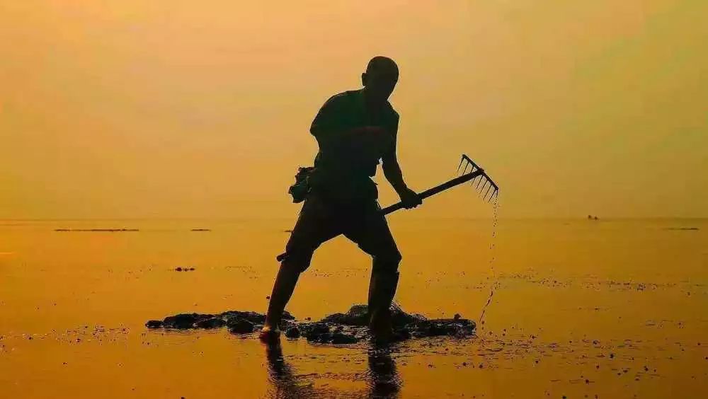 【读历史游盘锦】几许渔人飞短舟，尽载灯火归村路渤海金滩蛤蜊岗