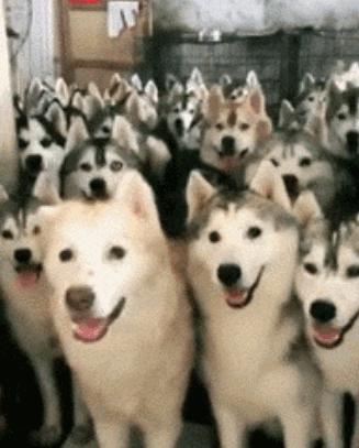 忍住不许笑：便利店打工人画的顾客面相，有内味儿了