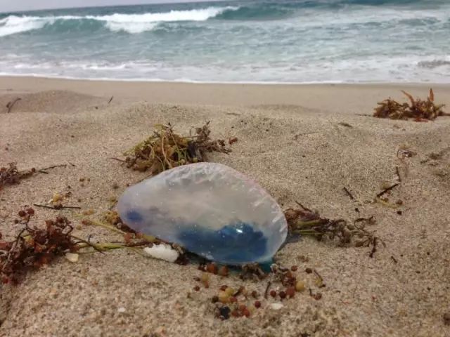 去泰国为什么不能去酒吧二楼,泰国酒吧的二楼为什么不能上