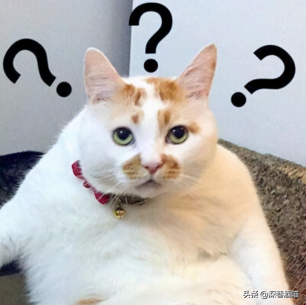 鍘荤埅鎵嬫湳瀵圭尗鏈夊澶х殑浼ゅ,妫夌澶ф硶鍚庡彲浠ョ粷鑲插悧