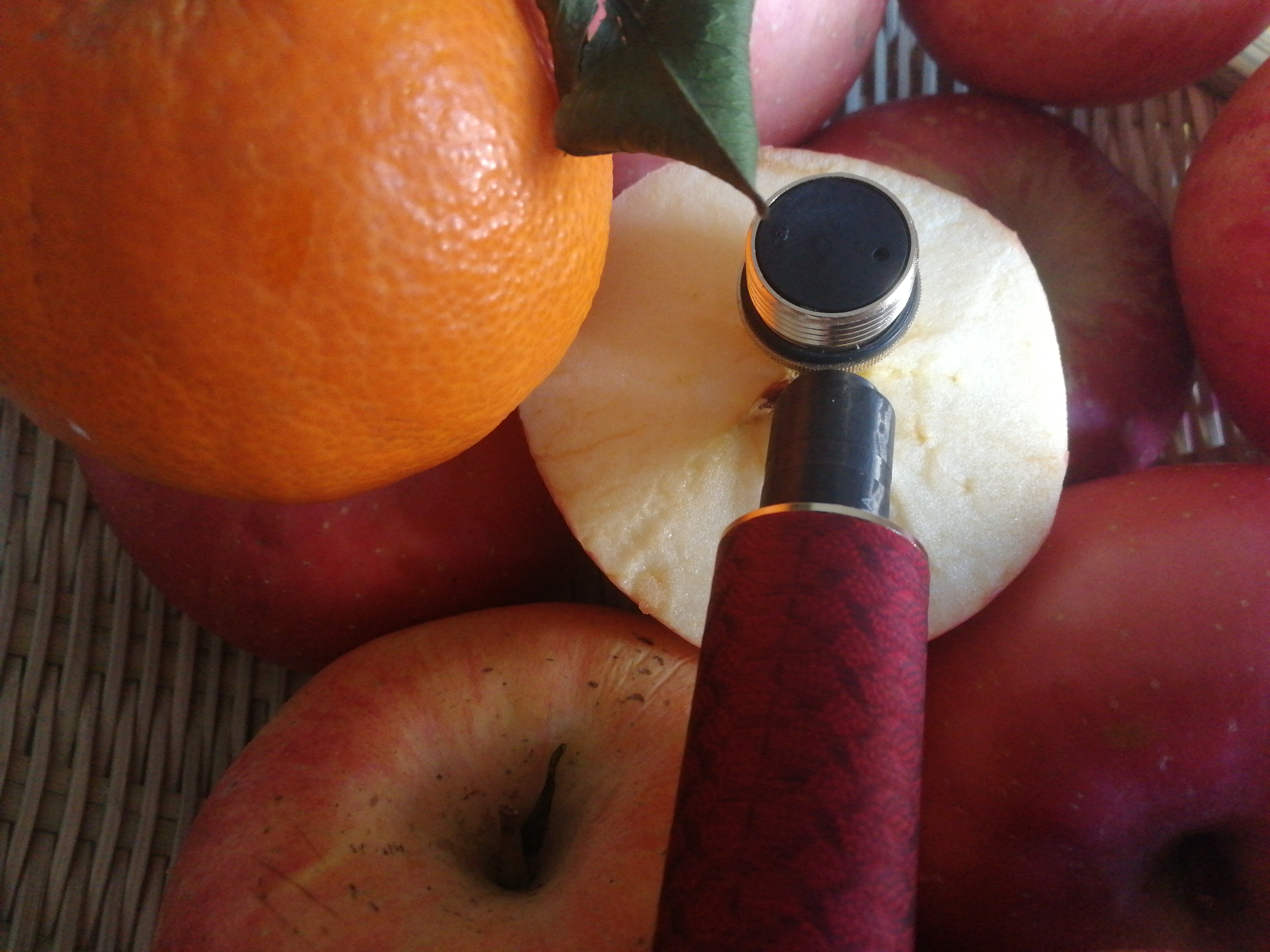 钓竿的十大忽悠,最真实的鱼竿骗局揭秘图片