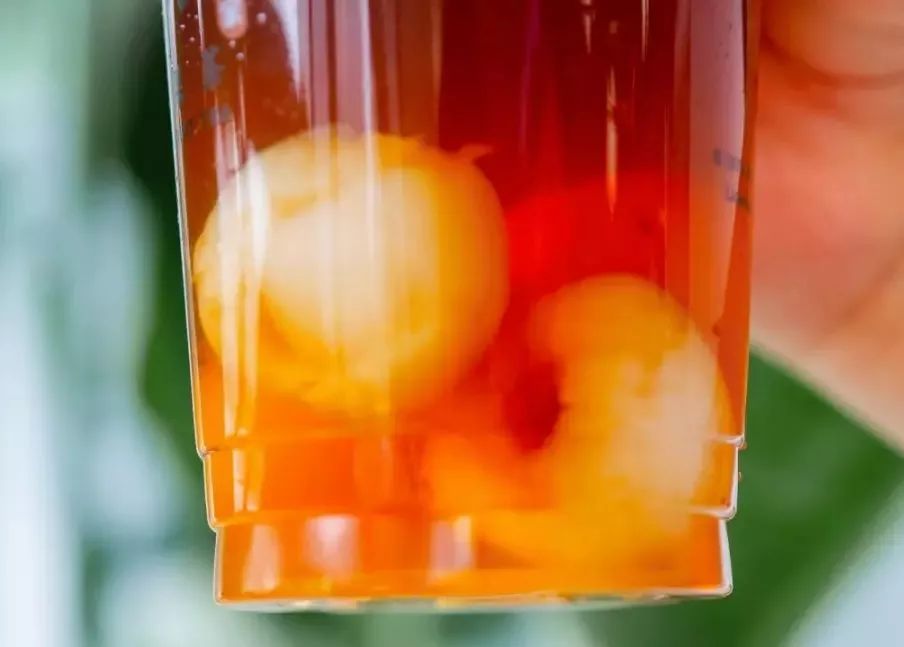 周杰伦小公举曝光,周杰伦小公举排名