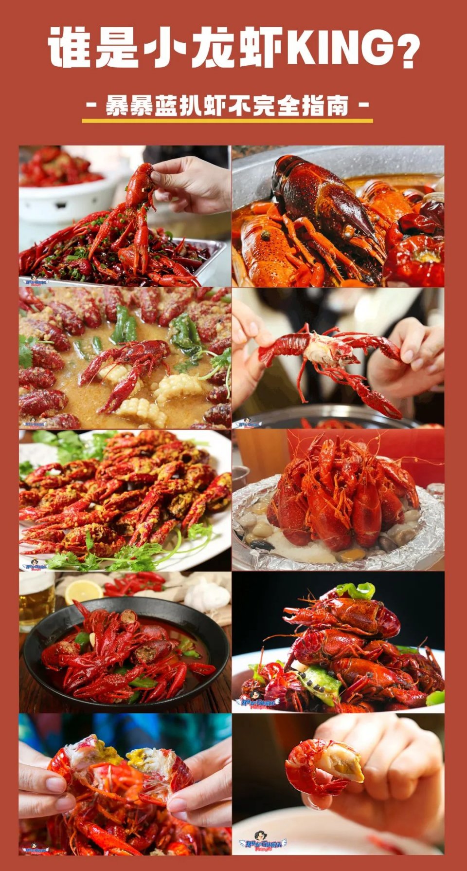 不容错过的小龙虾,不能错过的小龙虾
