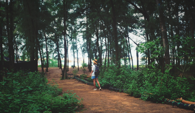 广东湛江旅游攻略赶海,湛江海边旅游攻略推荐地方