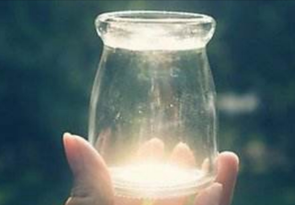 梅雨季节月季怎样抗黑斑病,夏天雨季月季黑斑病很严重怎么办