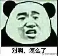 海思芯片行车记录仪屏幕上有横杠,行车记录仪华为海思3559芯片