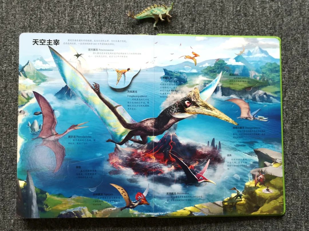 适合孩子看的恐龙科普书,适合5岁孩子看的恐龙科普书