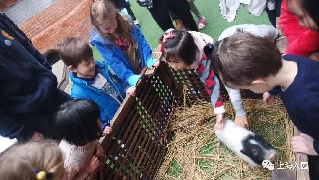 探园高端幼儿园,探园本地幼儿园