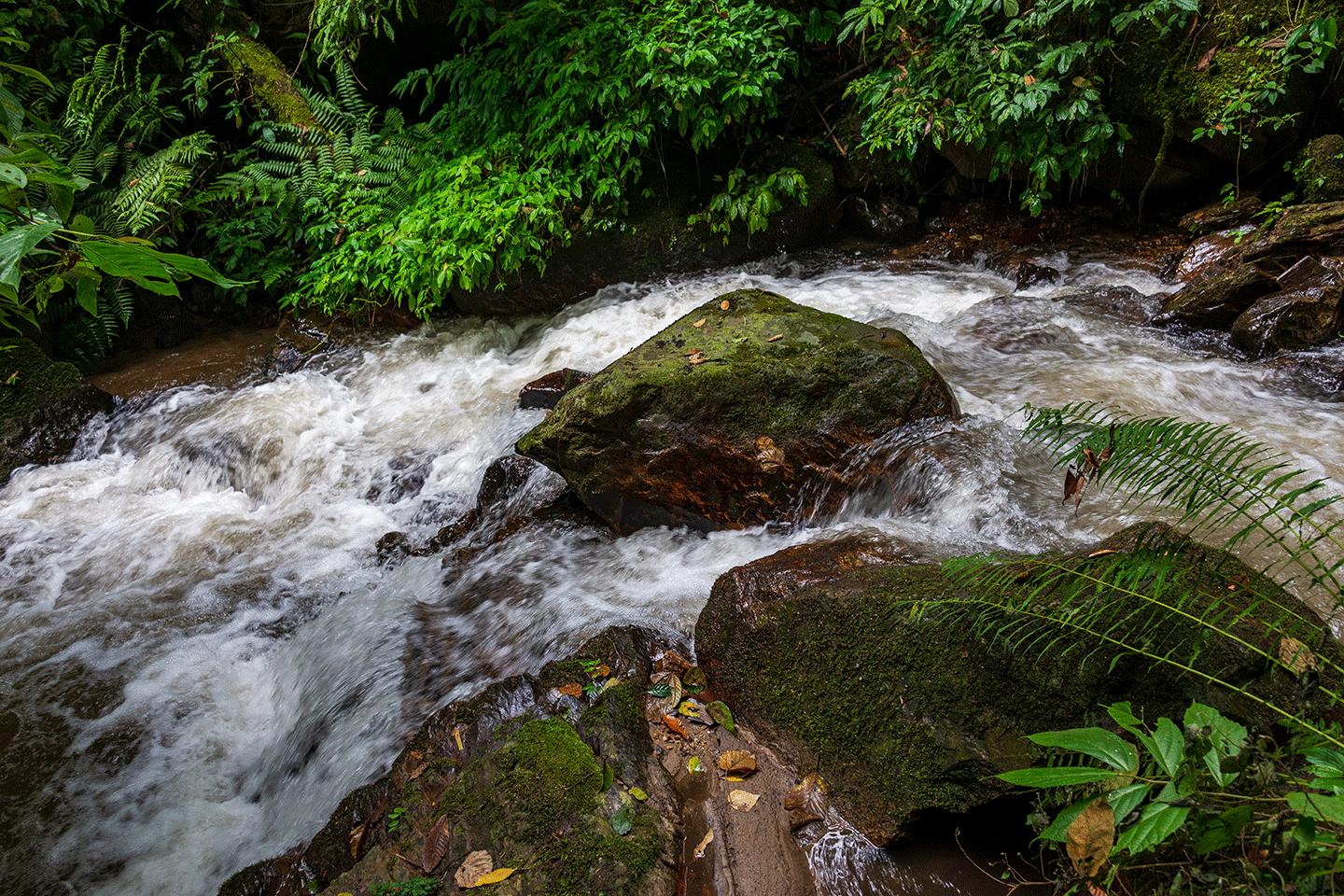 溪水潺潺心旷神怡,美景溪水潺潺