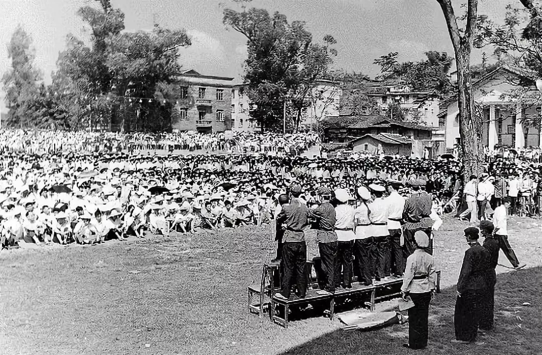 情色？暴利？*人用成品**千亿规模背后，隐藏着哪些资本秘密？