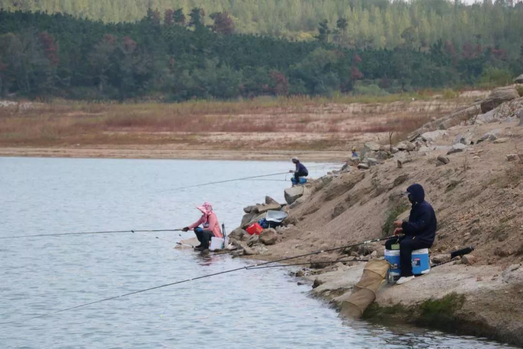 江苏钓野生鳗鱼,江苏仿野生鳗鱼