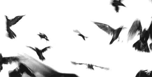 聚划算扣费查询,聚划算加权重吗