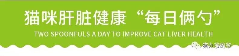 猫九爷：霉菌毒素对犬猫的危害！？