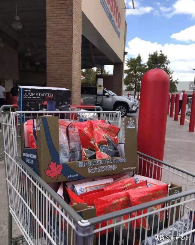 加拿大进口即食海参,加拿大超市抢购现状