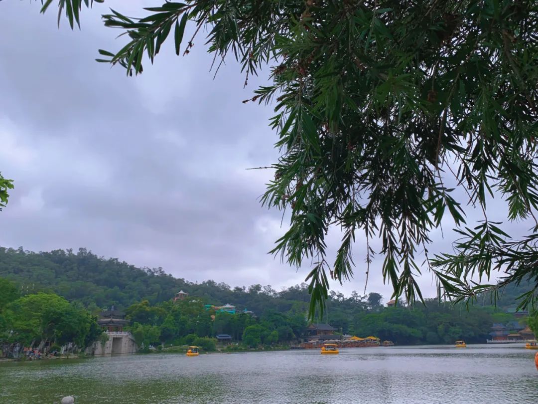 珠海平安夜打卡地点推荐,珠海旅游打卡景点大全排名榜