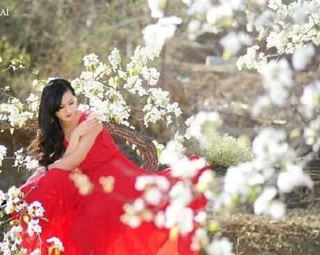 春上枝头，岁月别来无恙！【散文】