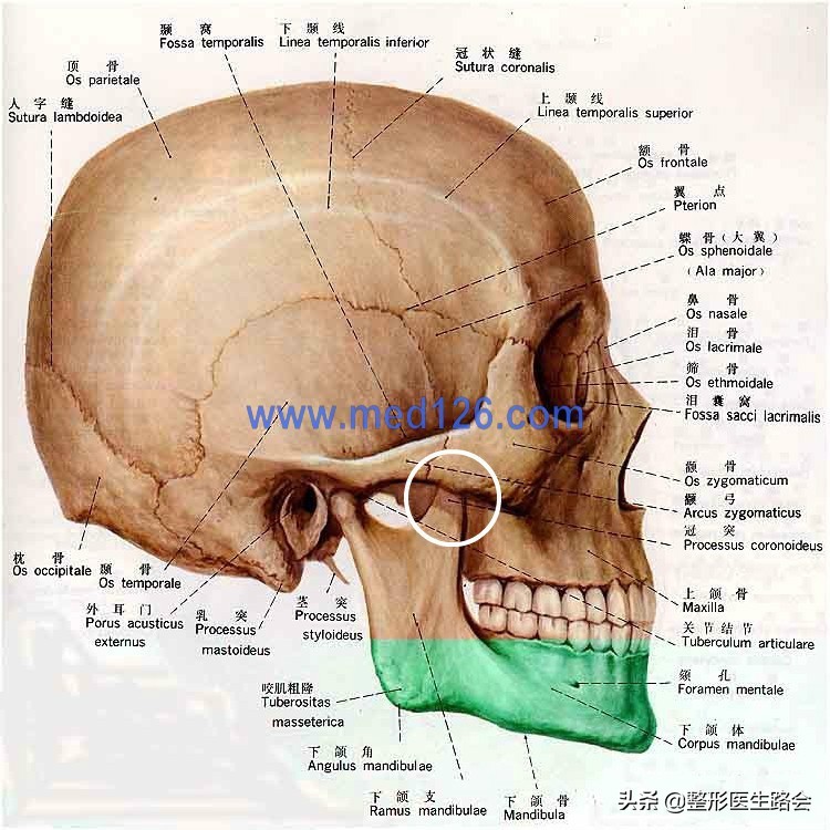 颧骨颧弓内推手术会让脸变小吗,颧骨内推手术有什么后遗症