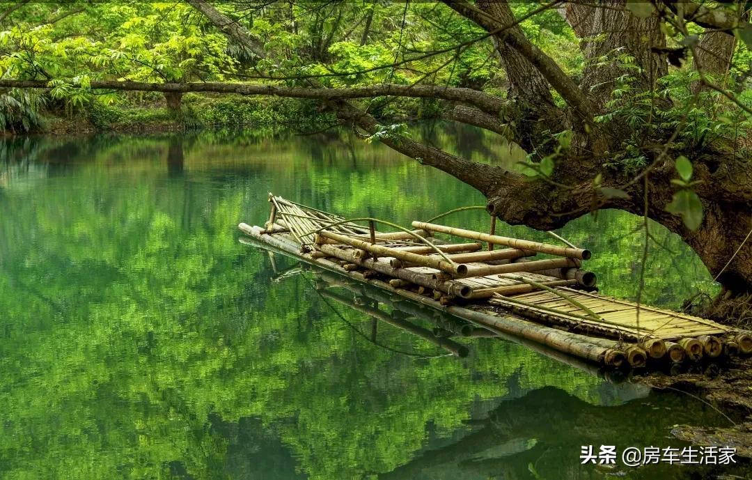 金黄的油菜花让你留连忘返,春季打卡好地方油菜花开醉游人