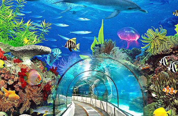 北京海洋馆亲子套票两大一小,北京海洋馆里面的儿童乐园