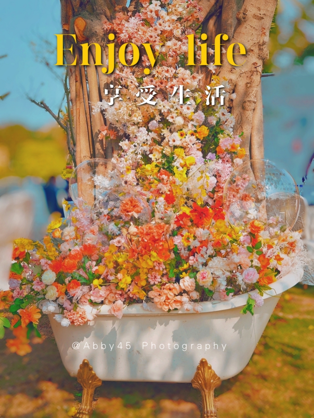 厦门五星级在山上的酒店,厦门最美星空露营地