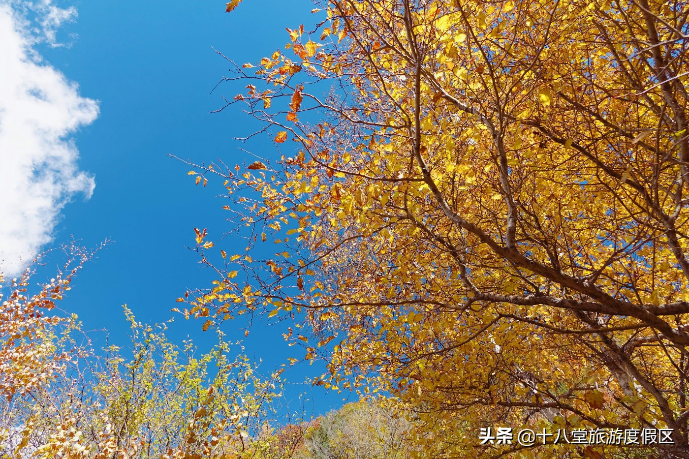 张家口有什么峡谷,张家口有什么大峡谷