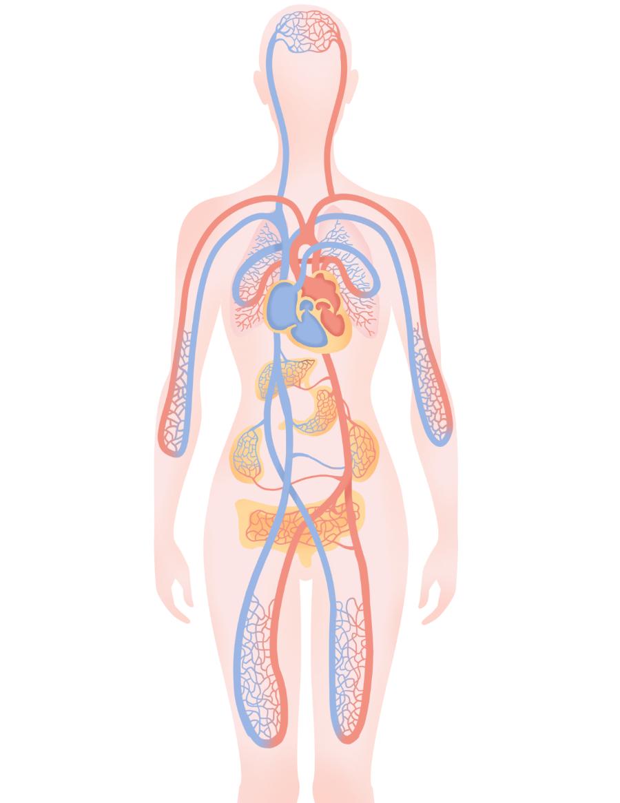 如何让自己的臀型更完美,不要小看任何一个好身材